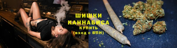 шишки Балабаново