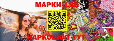 дмт Краснодар