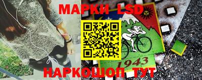 гашик Краснознаменск