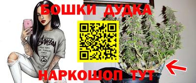 гашик Краснознаменск