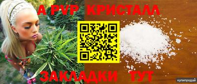 гашик Краснознаменск