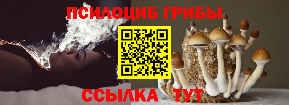 Галлюциногенные грибы Magic Shrooms Кировск